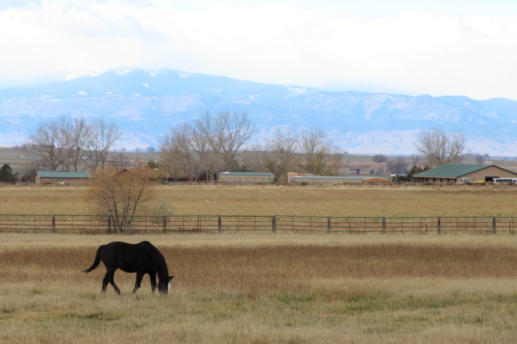 view of Ellerman Ranch